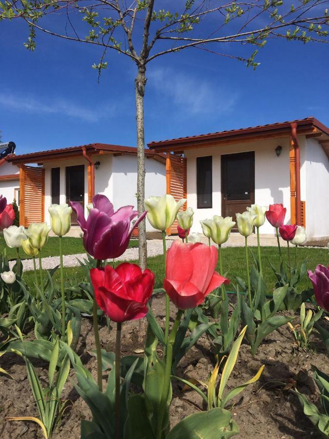 Casa Ivana Murighiol Buitenkant foto